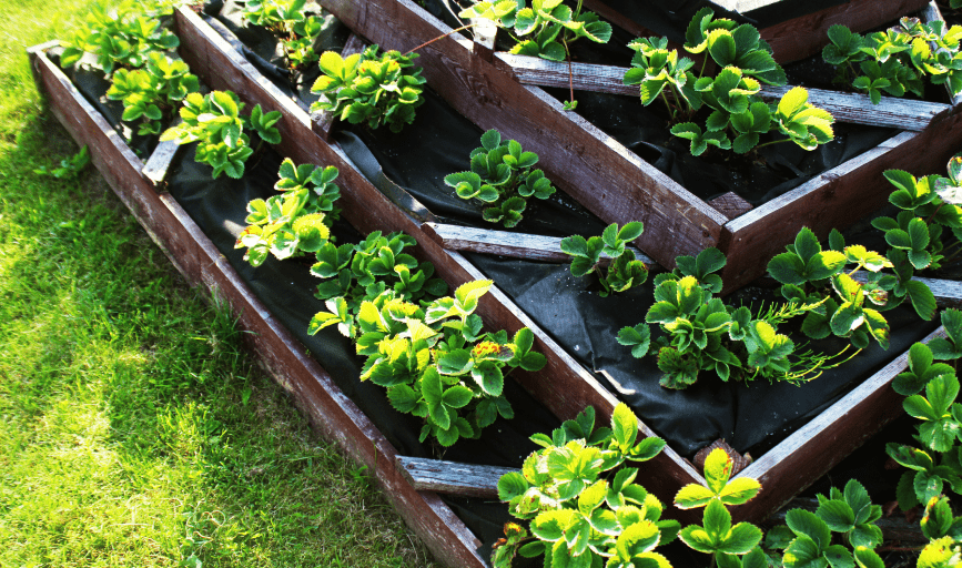 Flower Bed Installation