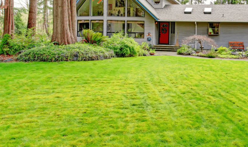 Lawn Care